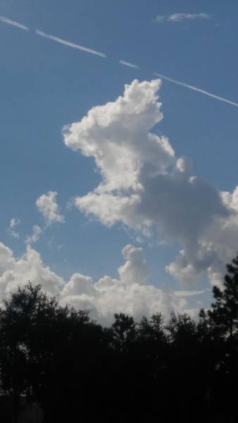 morning picdump 51 pics 25.html - 51 HD Photos | Premium Gallery 2017