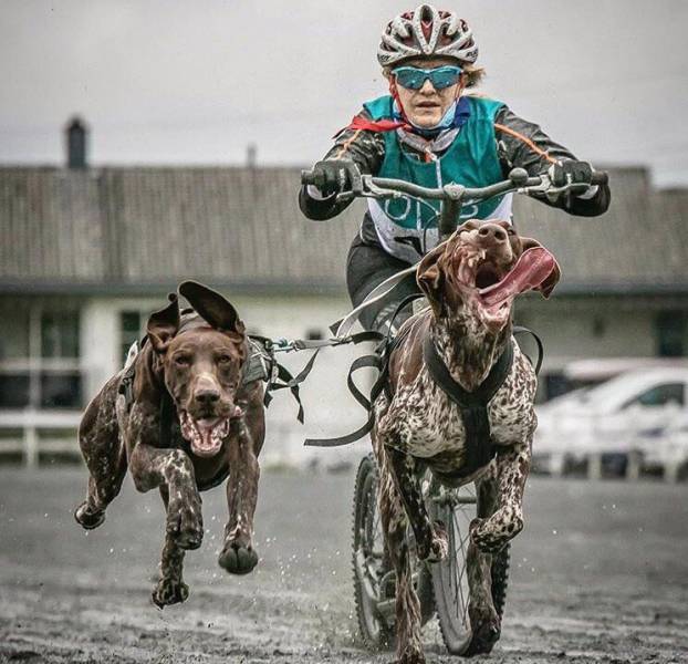 morning picdump 51 pics 25.html - 51 HD Photos | Premium Gallery 2017