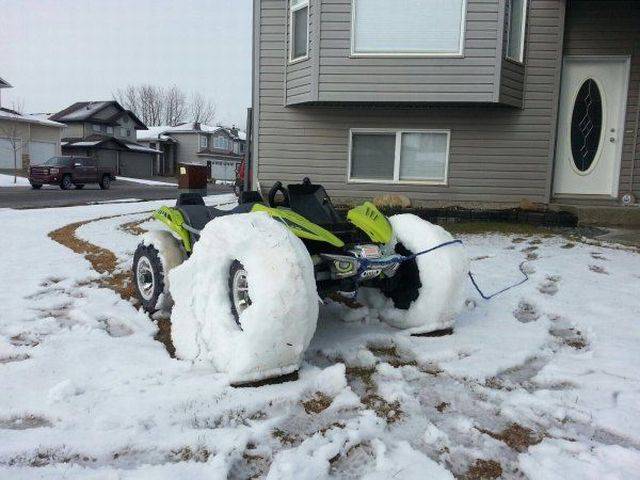 daily picdump weekend edition 65 pics 25.html - 65 HD Photos | Premium Gallery 2017