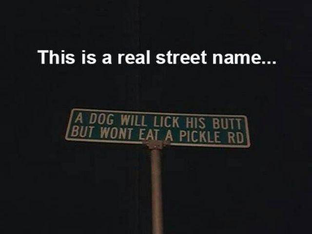 daily picdump weekend edition 65 pics 25.html - 65 HD Photos | Premium Gallery 2017