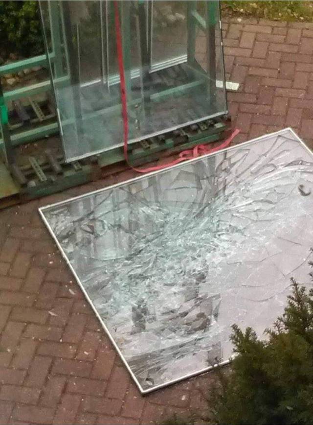 Daily Picdump [WEEKEND EDITION]