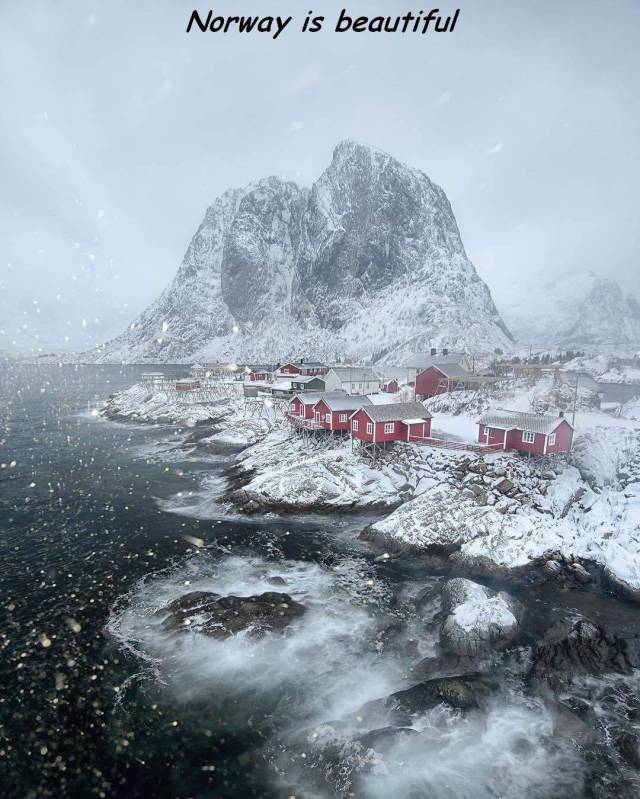 daily picdump weekend edition 65 pics 25.html - 65 HD Photos | Premium Gallery 2017