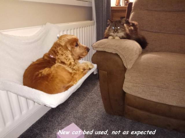 daily picdump 97 pics 29.html - 97 HD Photos | Premium Gallery 2017