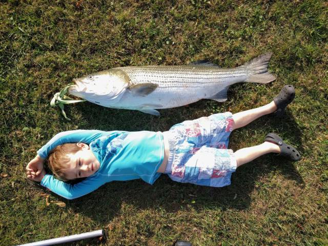 daily picdump 97 pics 29.html - 97 HD Photos | Premium Gallery 2017