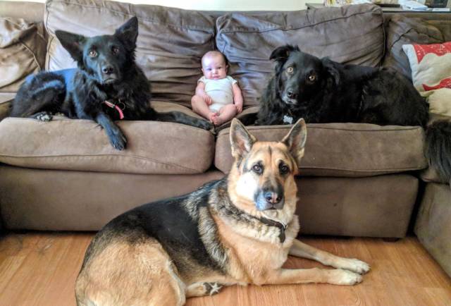 daily picdump 97 pics 29.html - 97 HD Photos | Premium Gallery 2017