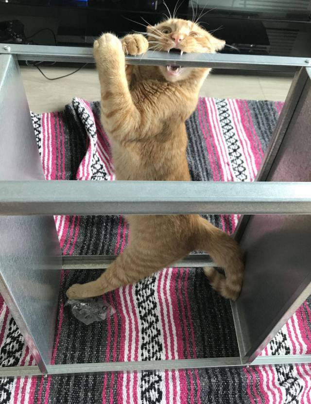 daily picdump 97 pics 29.html - 97 HD Photos | Premium Gallery 2017