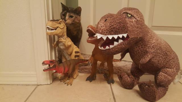 daily picdump 94 pics 33.html - 94 HD Photos | Premium Gallery 2017