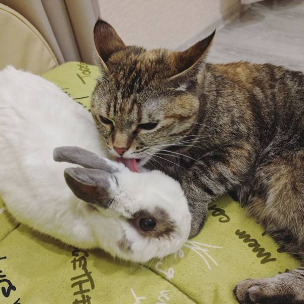 daily picdump 94 pics 33.html - 94 HD Photos | Premium Gallery 2017