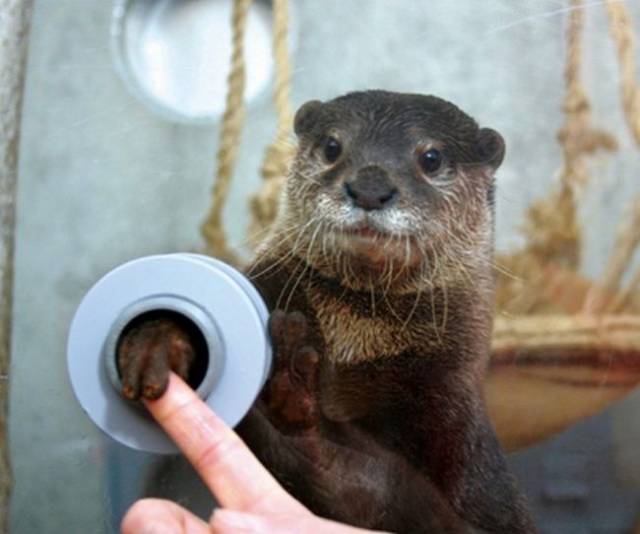 daily picdump 94 pics 33.html - 94 HD Photos | Premium Gallery 2017