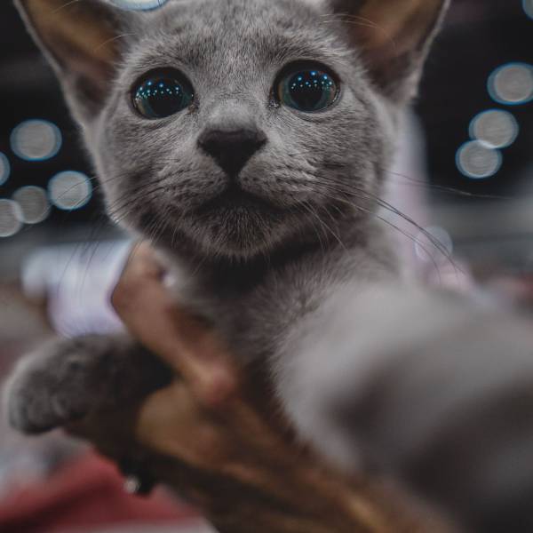 daily picdump 94 pics 33.html - 94 HD Photos | Premium Gallery 2017