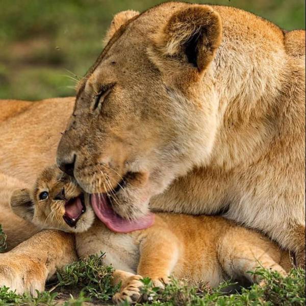 daily picdump 94 pics 33.html - 94 HD Photos | Premium Gallery 2017