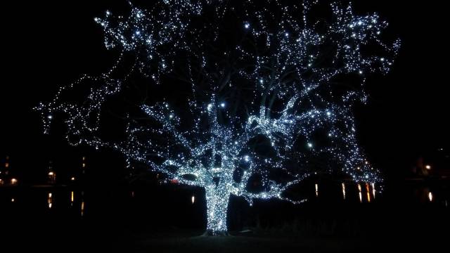 daily picdump 94 pics 33.html - 94 HD Photos | Premium Gallery 2017