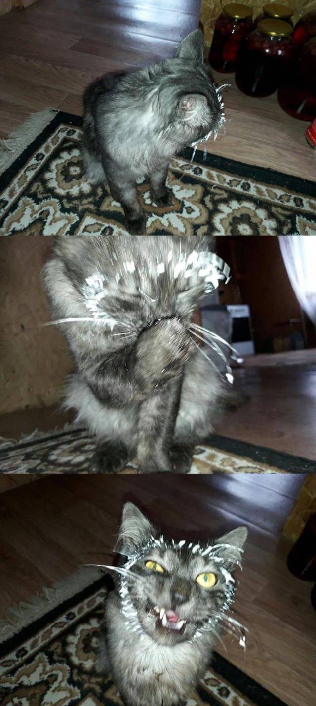 daily picdump 94 pics 33.html - 94 HD Photos | Premium Gallery 2017