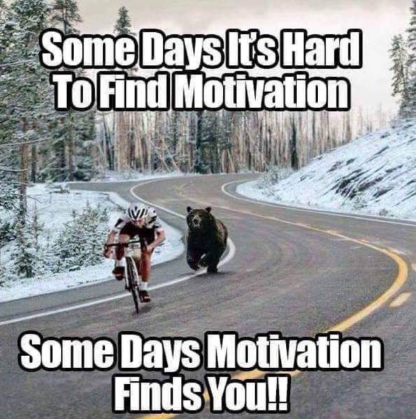 funny picdump 53 pics 8.html - 53 HD Photos | Premium Gallery 2017