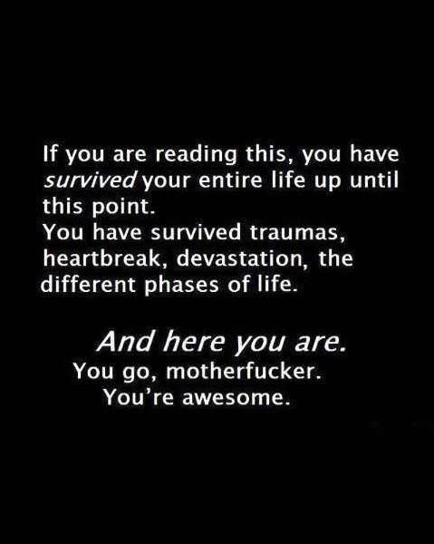 funny picdump 53 pics 8.html - 53 HD Photos | Premium Gallery 2017