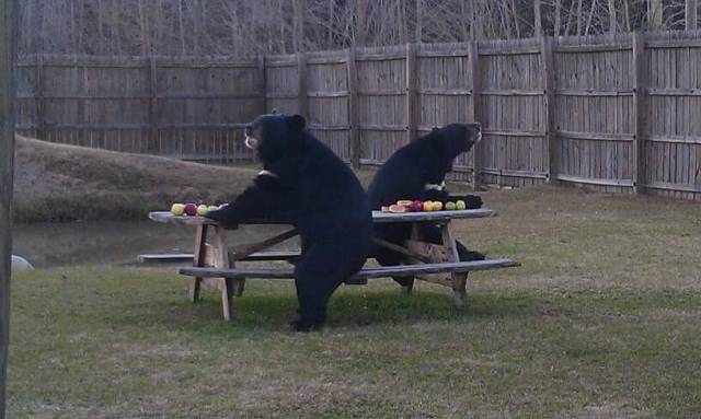 morning picdump 51 pics 3.html - 51 HD Photos | Premium Gallery 2017