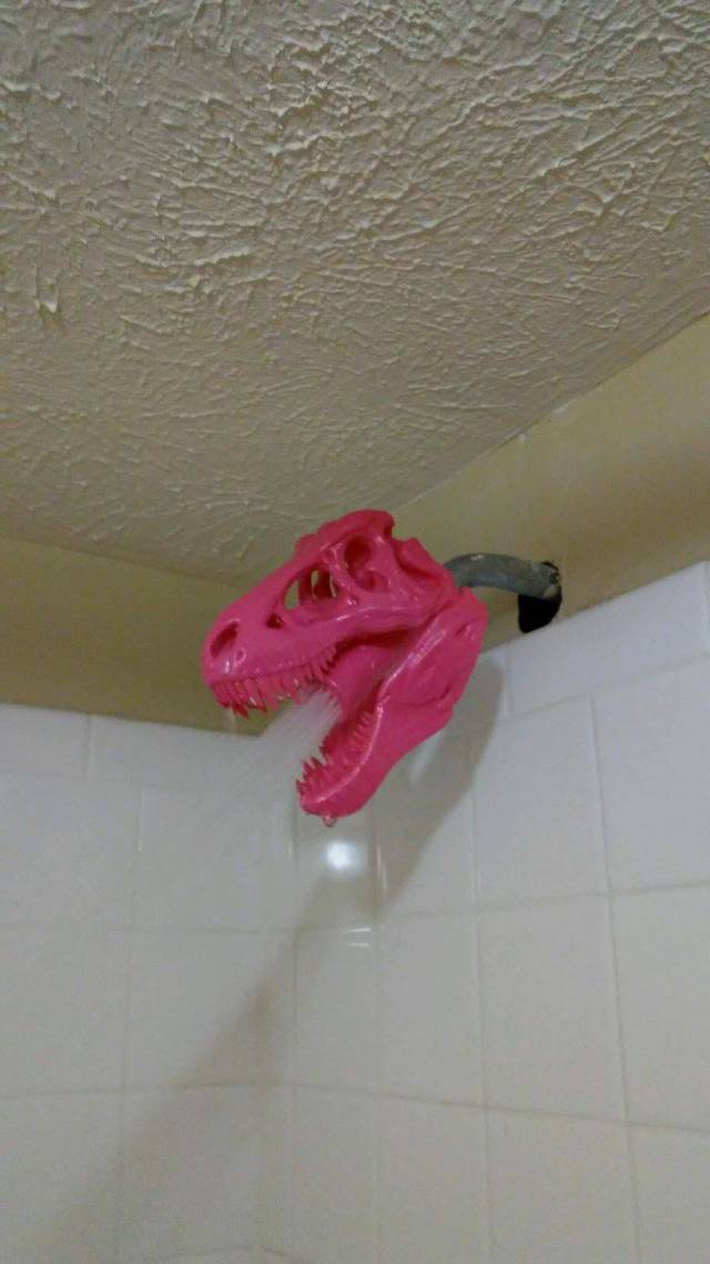 morning picdump 51 pics 3.html - 51 HD Photos | Premium Gallery 2017