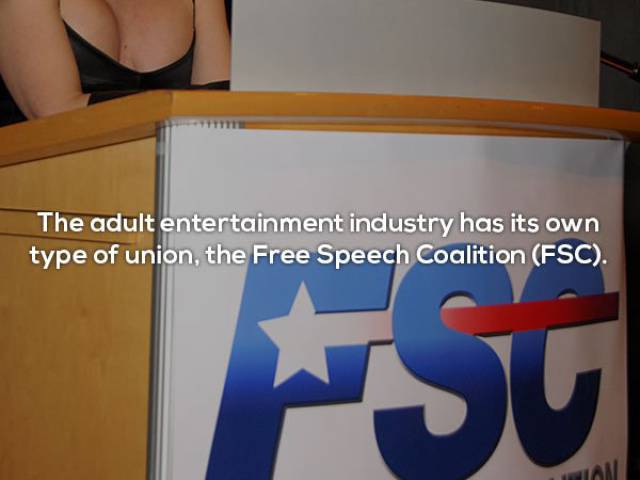 Porn Comes With Some Naughty Facts