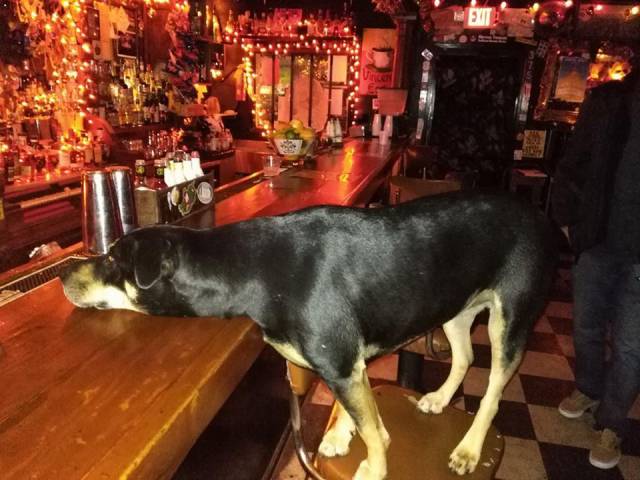 morning picdump 50 pics 24.html - 50 HD Photos | Premium Gallery 2017