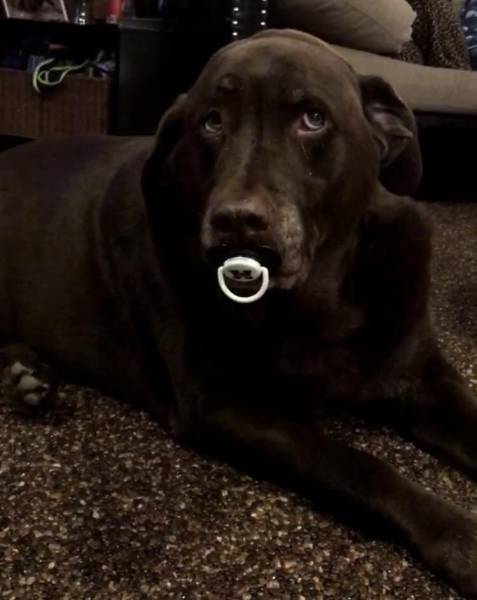 morning picdump 50 pics 24.html - 50 HD Photos | Premium Gallery 2017