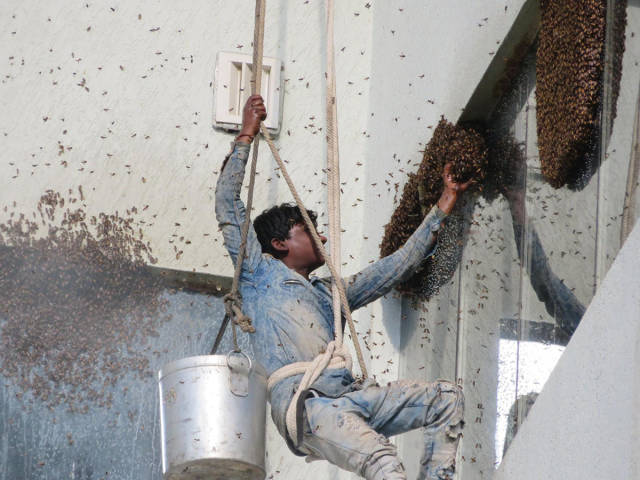 morning picdump 50 pics 24.html - 50 HD Photos | Premium Gallery 2017