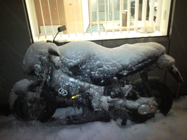 morning picdump 50 pics 24.html - 50 HD Photos | Premium Gallery 2017