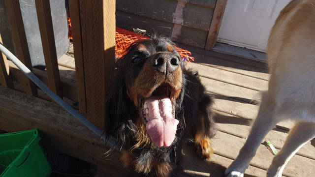 morning picdump 50 pics 24.html - 50 HD Photos | Premium Gallery 2017