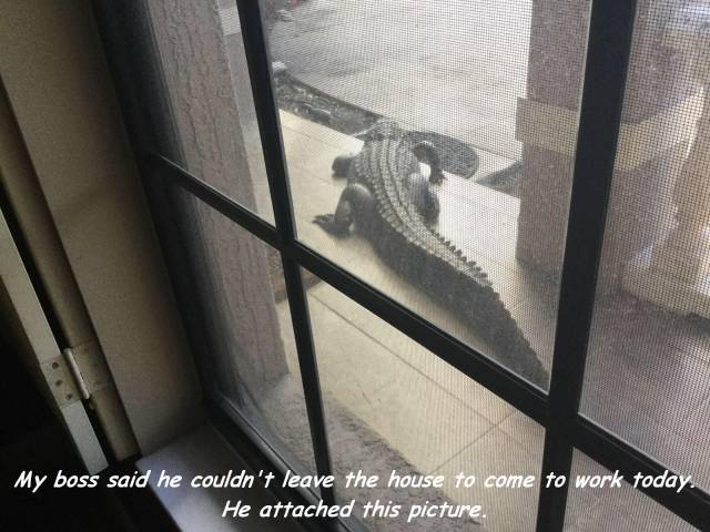 daily picdump 96 pics 20.html - 96 HD Photos | Premium Gallery 2017