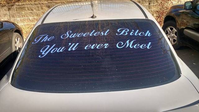 daily picdump 96 pics 20.html - 96 HD Photos | Premium Gallery 2017