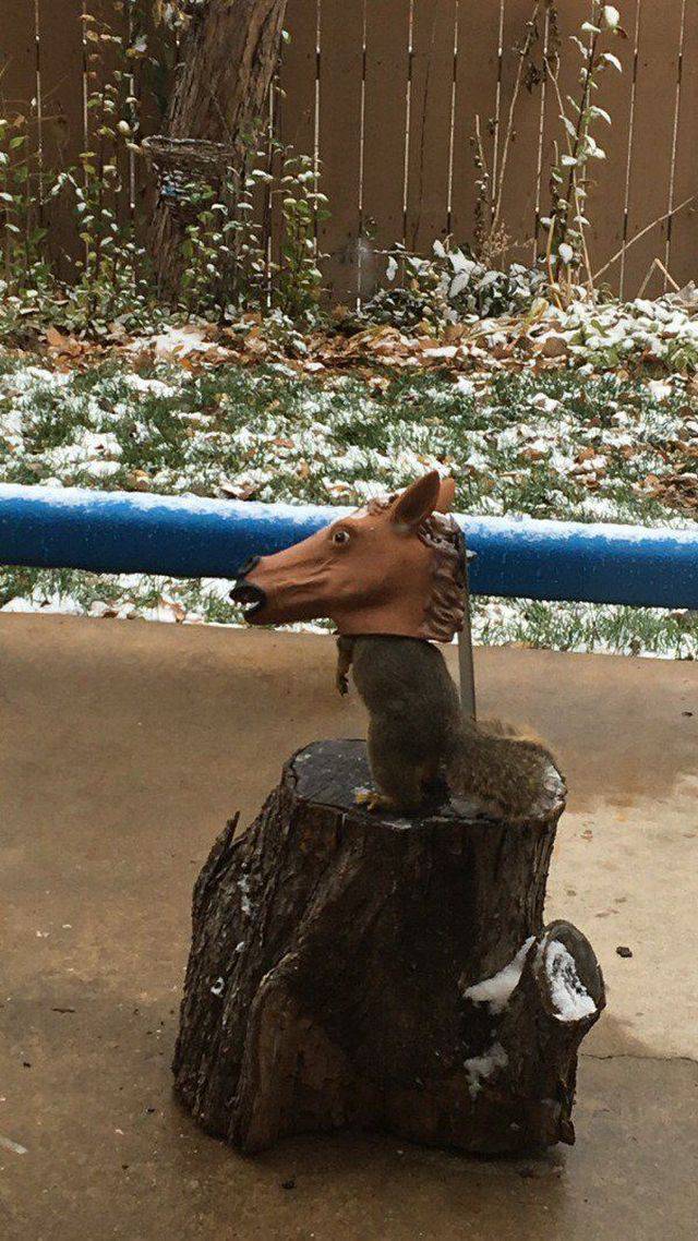 daily picdump 96 pics 20.html - 96 HD Photos | Premium Gallery 2017