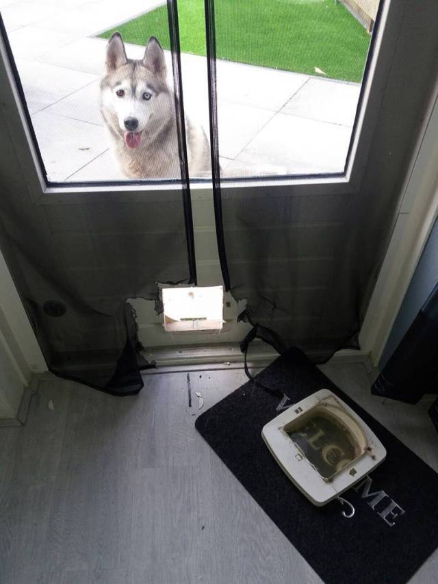 daily picdump 96 pics 20.html - 96 HD Photos | Premium Gallery 2017