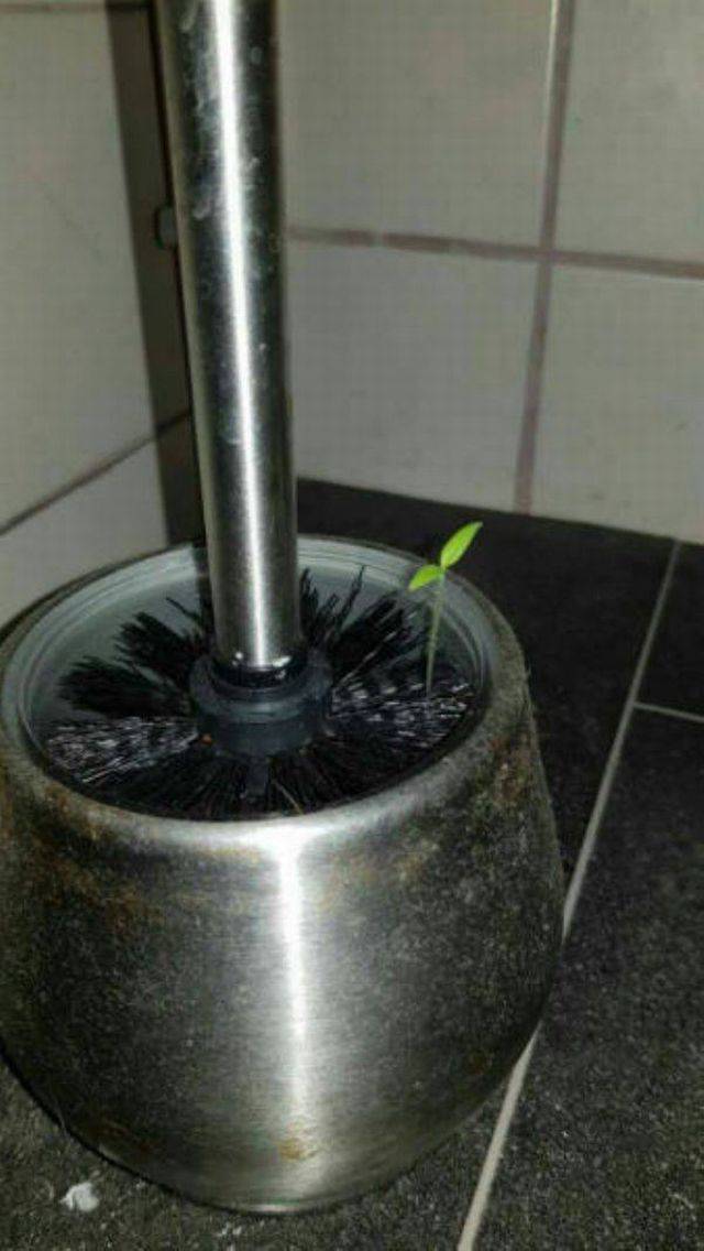 daily picdump 96 pics 20.html - 96 HD Photos | Premium Gallery 2017