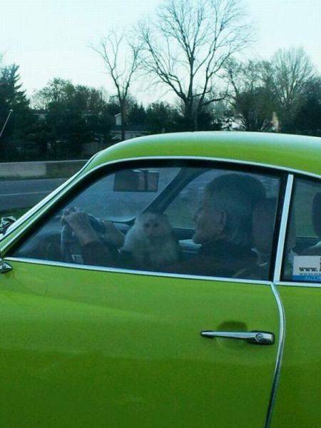 morning picdump 49 pics 10.html - 49 HD Photos | Premium Gallery 2017