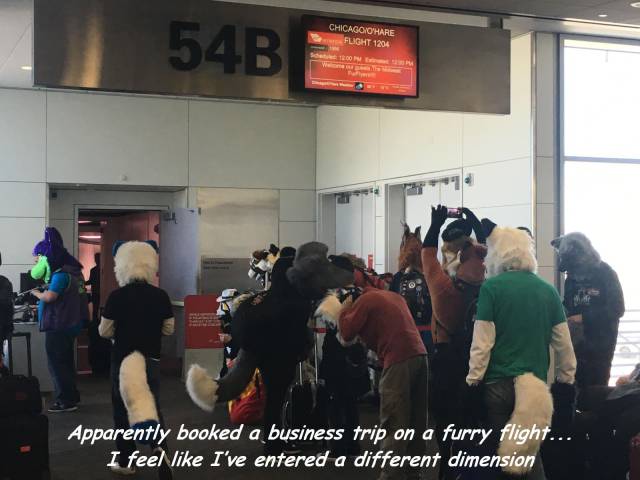 daily picdump 94 pics 5.html - 94 HD Photos | Premium Gallery 2017