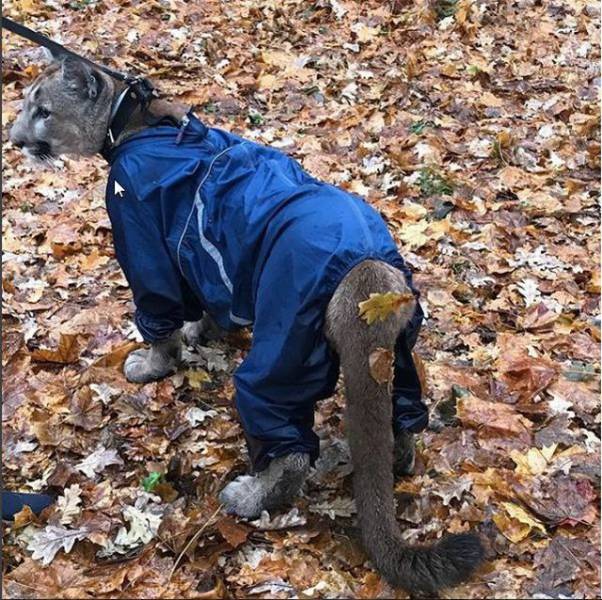 daily picdump 94 pics 5.html - 94 HD Photos | Premium Gallery 2017