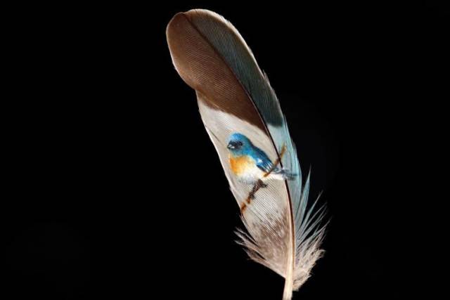 daily picdump 94 pics 5.html - 94 HD Photos | Premium Gallery 2017