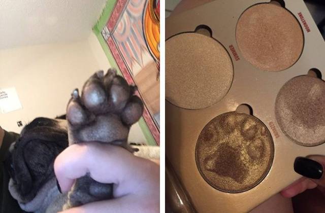 daily picdump 94 pics 5.html - 94 HD Photos | Premium Gallery 2017