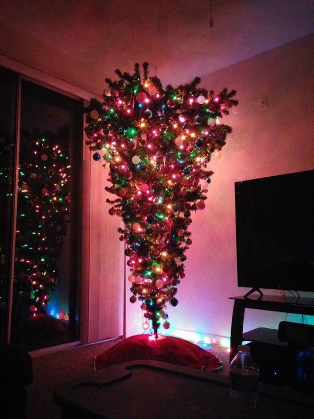 daily picdump 94 pics 5.html - 94 HD Photos | Premium Gallery 2017