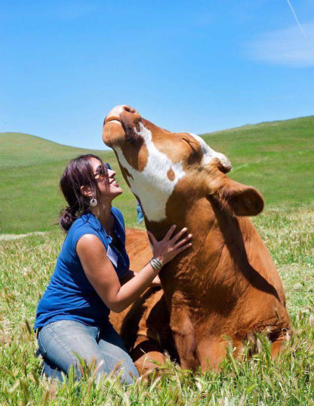 daily picdump 94 pics 5.html - 94 HD Photos | Premium Gallery 2017