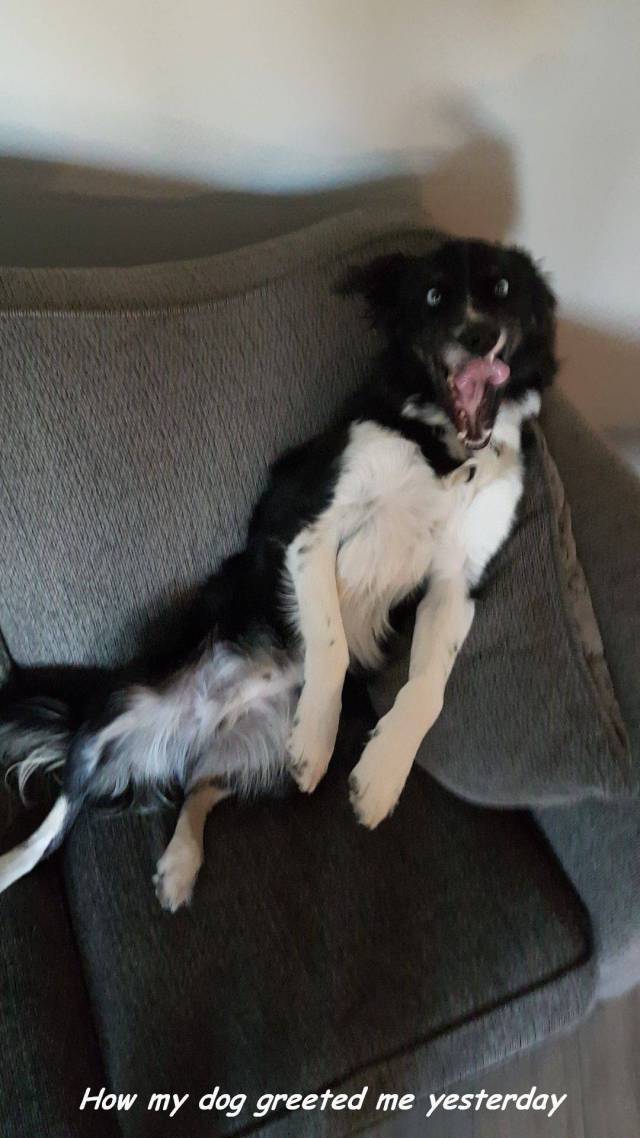 daily picdump 94 pics 5.html - 94 HD Photos | Premium Gallery 2017