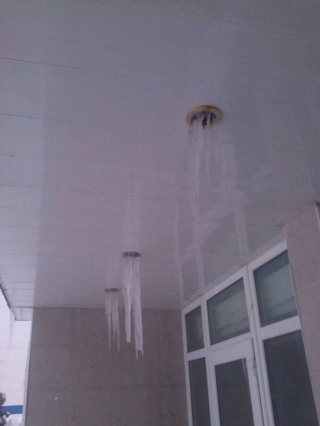 daily picdump 94 pics 5.html - 94 HD Photos | Premium Gallery 2017