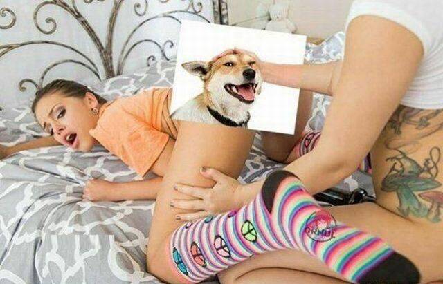 grownup corner 60 pics 9 gifs 17.html - 60 HD GIF | Premium Gallery 2017