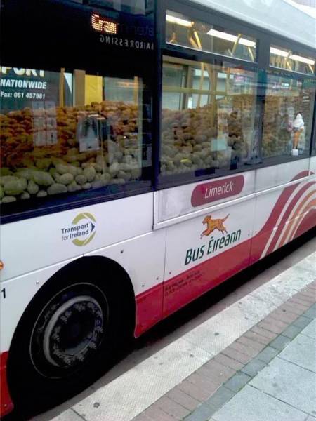 morning picdump 50 pics 2.html - 50 HD Photos | Premium Gallery 2017