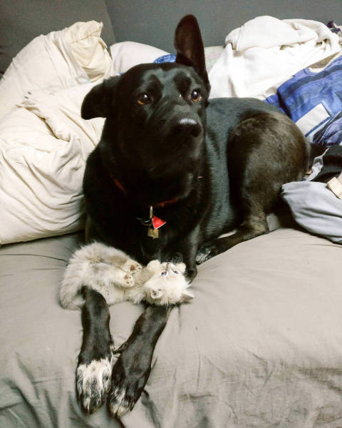 morning picdump 50 pics 2.html - 50 HD Photos | Premium Gallery 2017