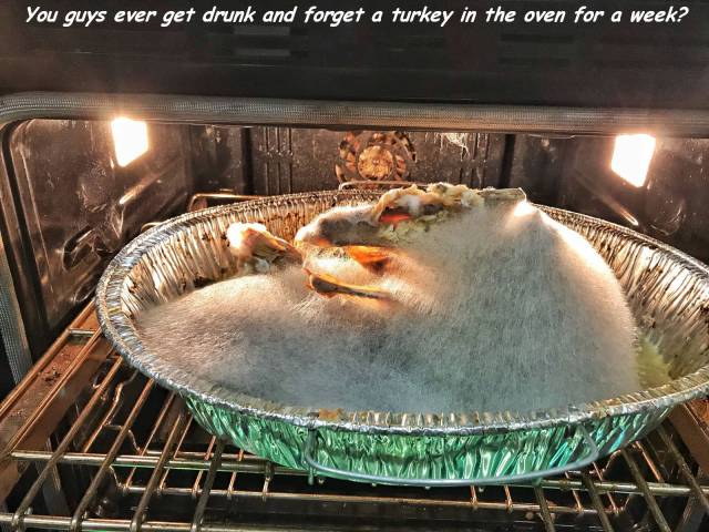 Daily Picdump [WEEKEND EDITION]