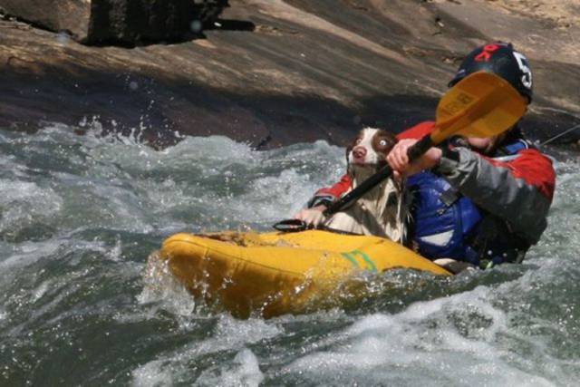 Daily Picdump [WEEKEND EDITION]