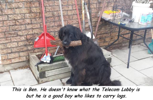 daily picdump weekend edition 64 pics 24.html - 64 HD Photos | Premium Gallery 2017