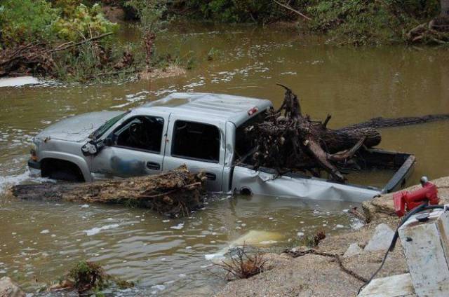 daily picdump weekend edition 64 pics 24.html - 64 HD Photos | Premium Gallery 2017