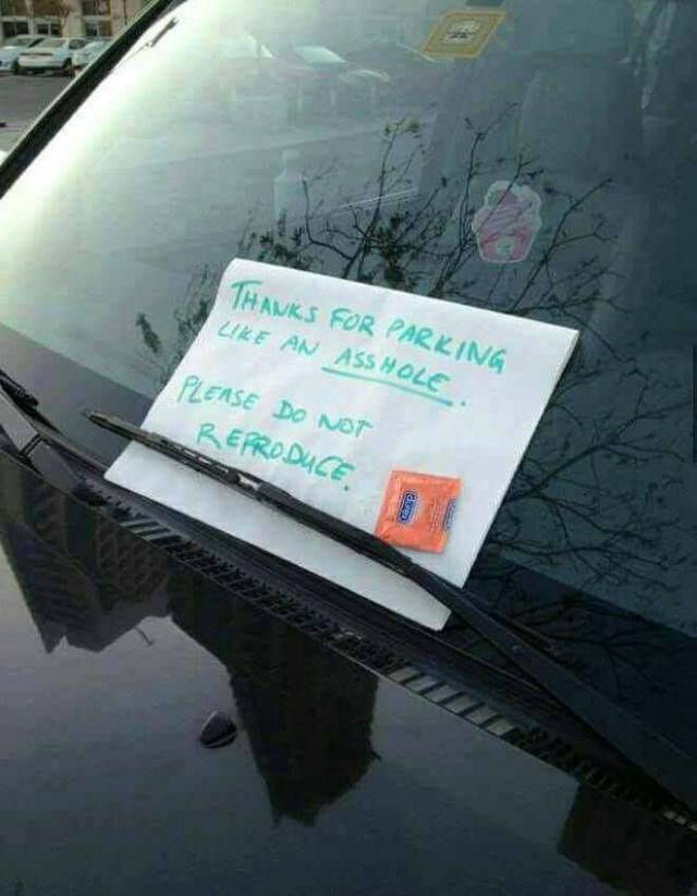 Daily Picdump [WEEKEND EDITION]