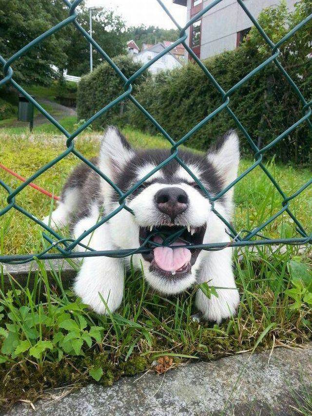 daily picdump weekend edition 64 pics 24.html - 64 HD Photos | Premium Gallery 2017